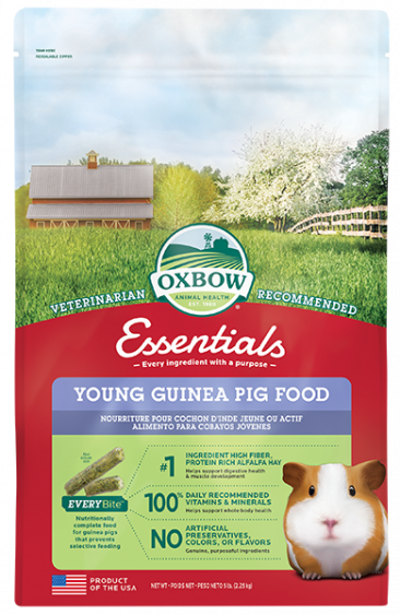 Essentials - Young Guinea Pig Food 5LB