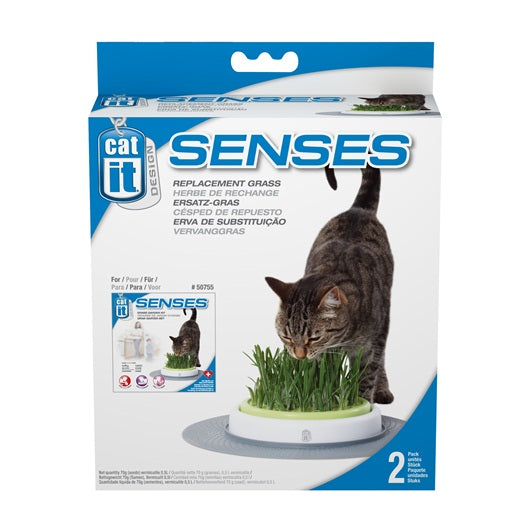 Semences de rechange pour trousse de jardin d’herbe Senses Catit Design, paquet de 2