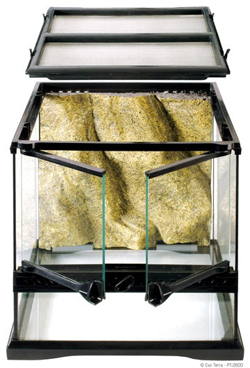 Terrarium en verre Exo Terra, mini, large, 30 x 30 x 30 cm (12 x 12 x 12 po)