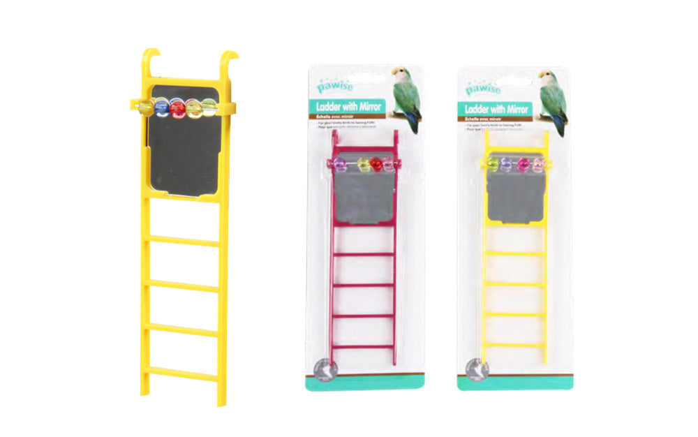 Pawise Échelle avec Miroir