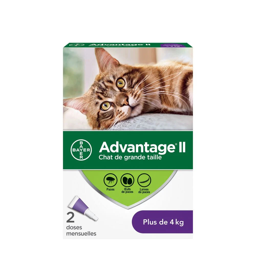 Advantage II pour Chats (plus de 4 kg) 2 doses - La niche&amp;moi