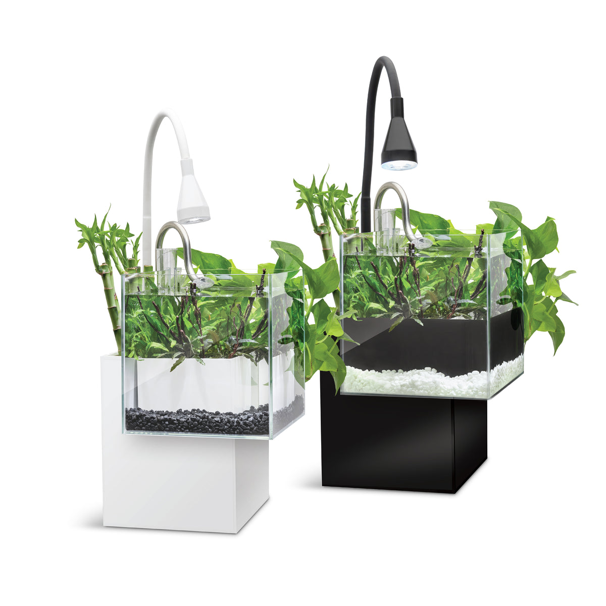 Aquarium équipé Kühl Fluval pour l’aménagement miniature, 8 L (2,1 gal US), noir - La niche&amp;moi