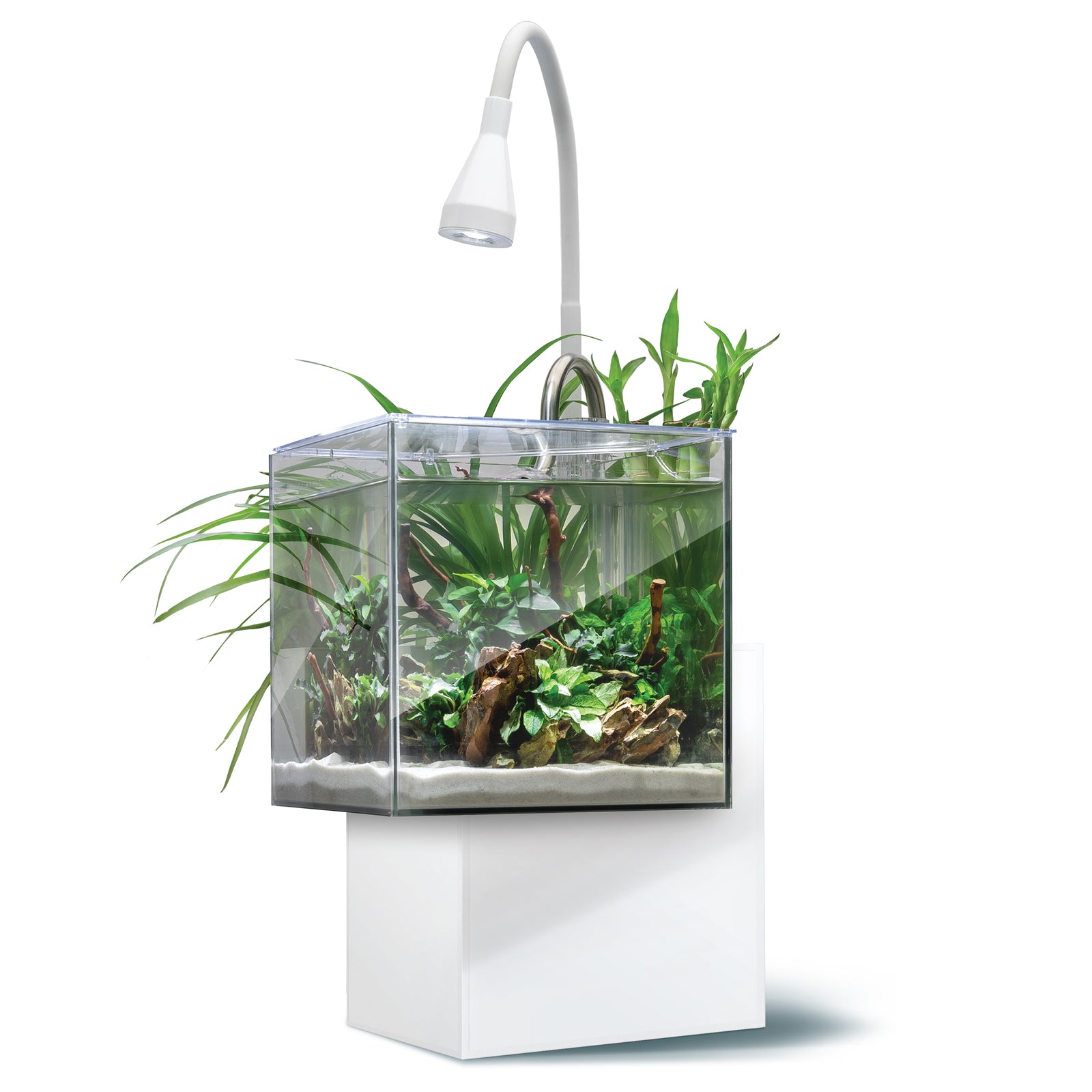 Aquarium équipé Kühl Fluval pour l’aménagement miniature, 8 L (2,1 gal US), blanc - La niche&moi