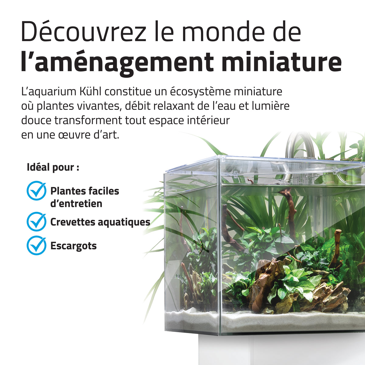 Aquarium équipé Kühl Fluval pour l’aménagement miniature, 8 L (2,1 gal US), blanc - La niche&amp;moi