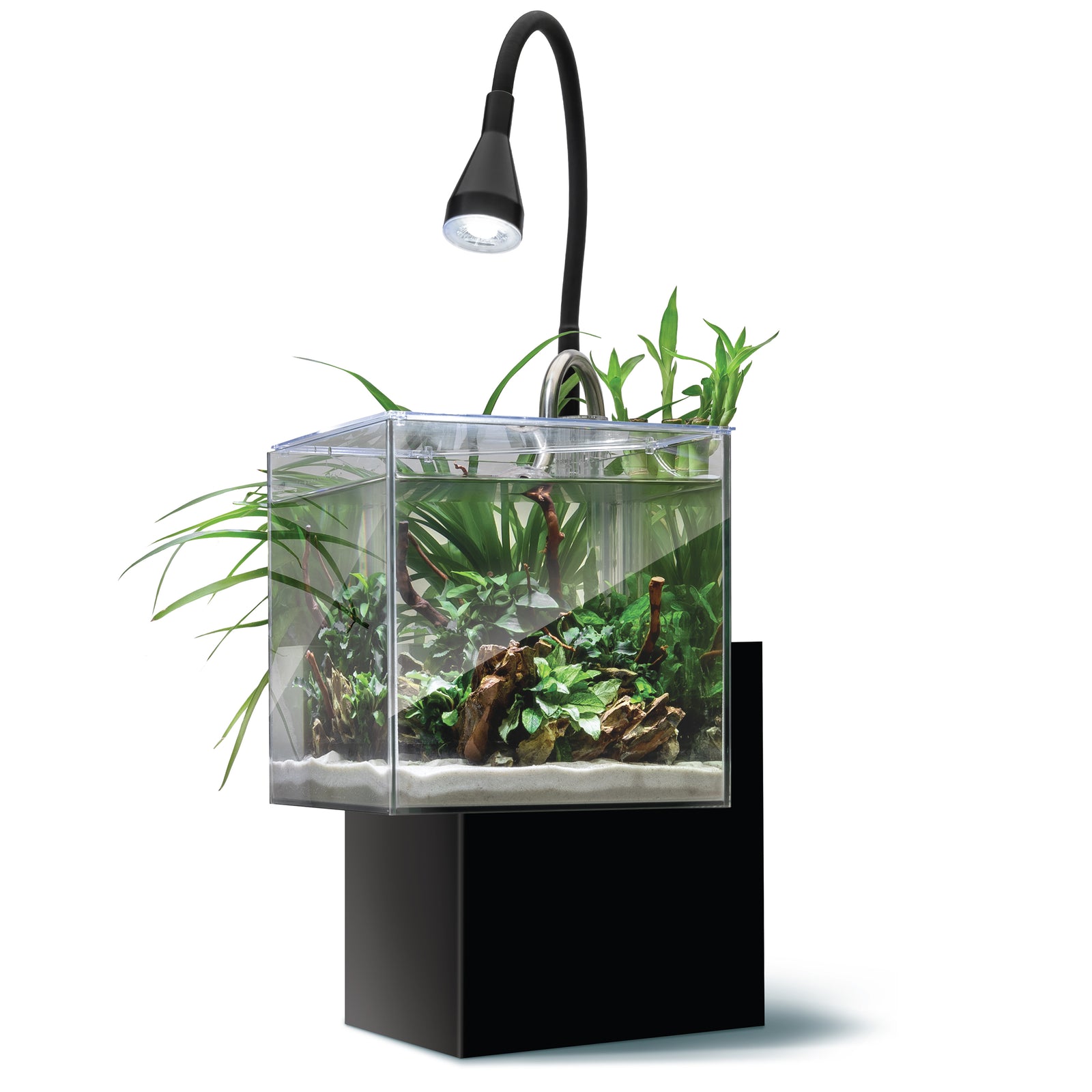 Aquarium équipé Kühl Fluval pour l’aménagement miniature, 8 L (2,1 gal US), noir - La niche&moi
