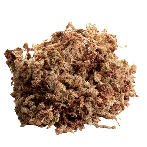 Zoo Med Mousse de Sphagnum de la Nouvelle-Zélande 80 cu in - La niche&amp;moi