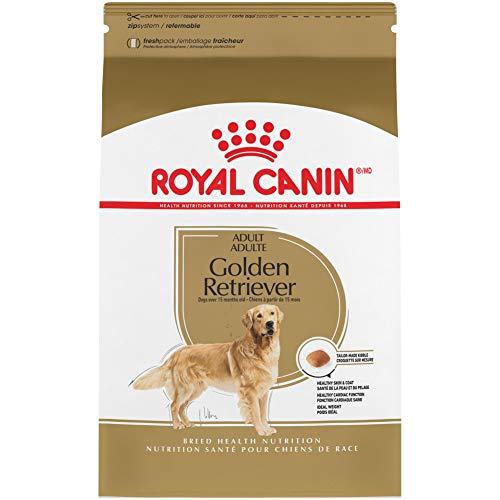 Royal Canin Golden Retriever Adulte 30lb - La niche&moi