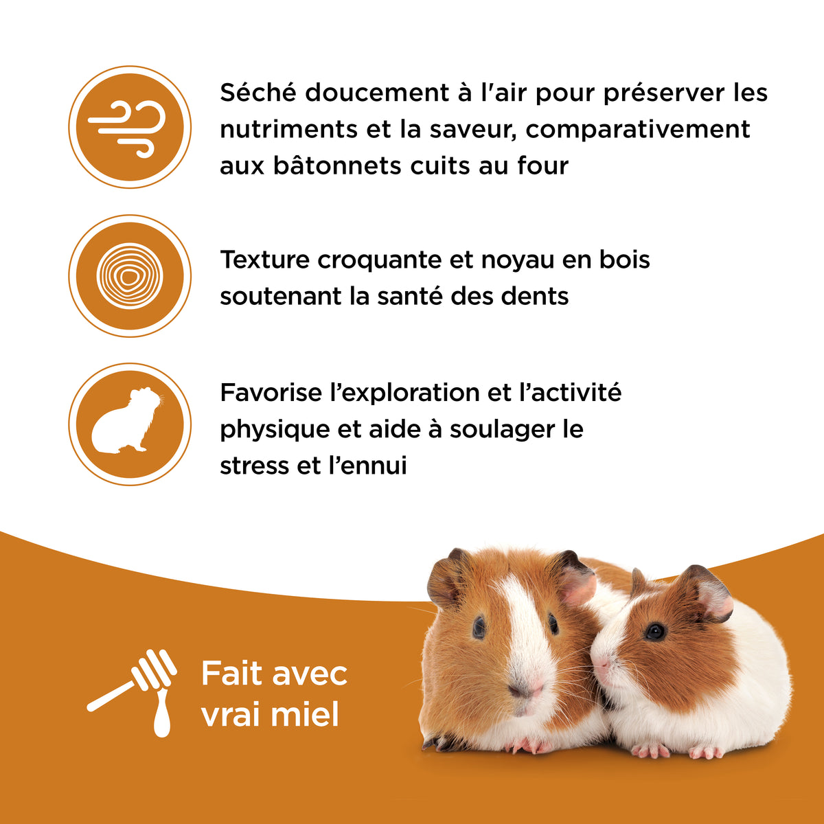 Bâtonnets Living World pour cochons d’Inde, saveur de miel, paquet de 2, 90 g (3,17 oz) - La niche&amp;moi