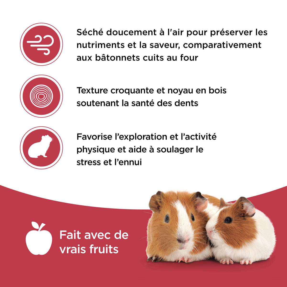 Bâtonnets Living World pour cochons d’Inde, saveur de fruits, paquet de 2, 90 g (3,17 oz) - La niche&amp;moi