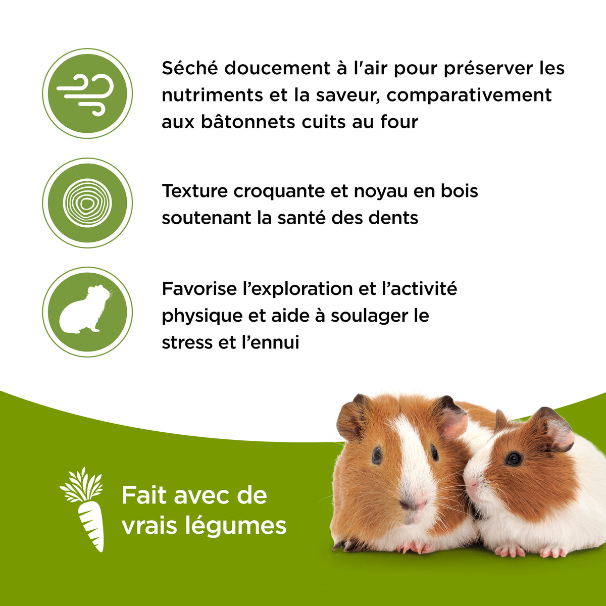 Bâtonnets Living World pour cochons d’Inde, saveur de légumes, paquet de 2, 90 g (3,17 oz) - La niche&amp;moi