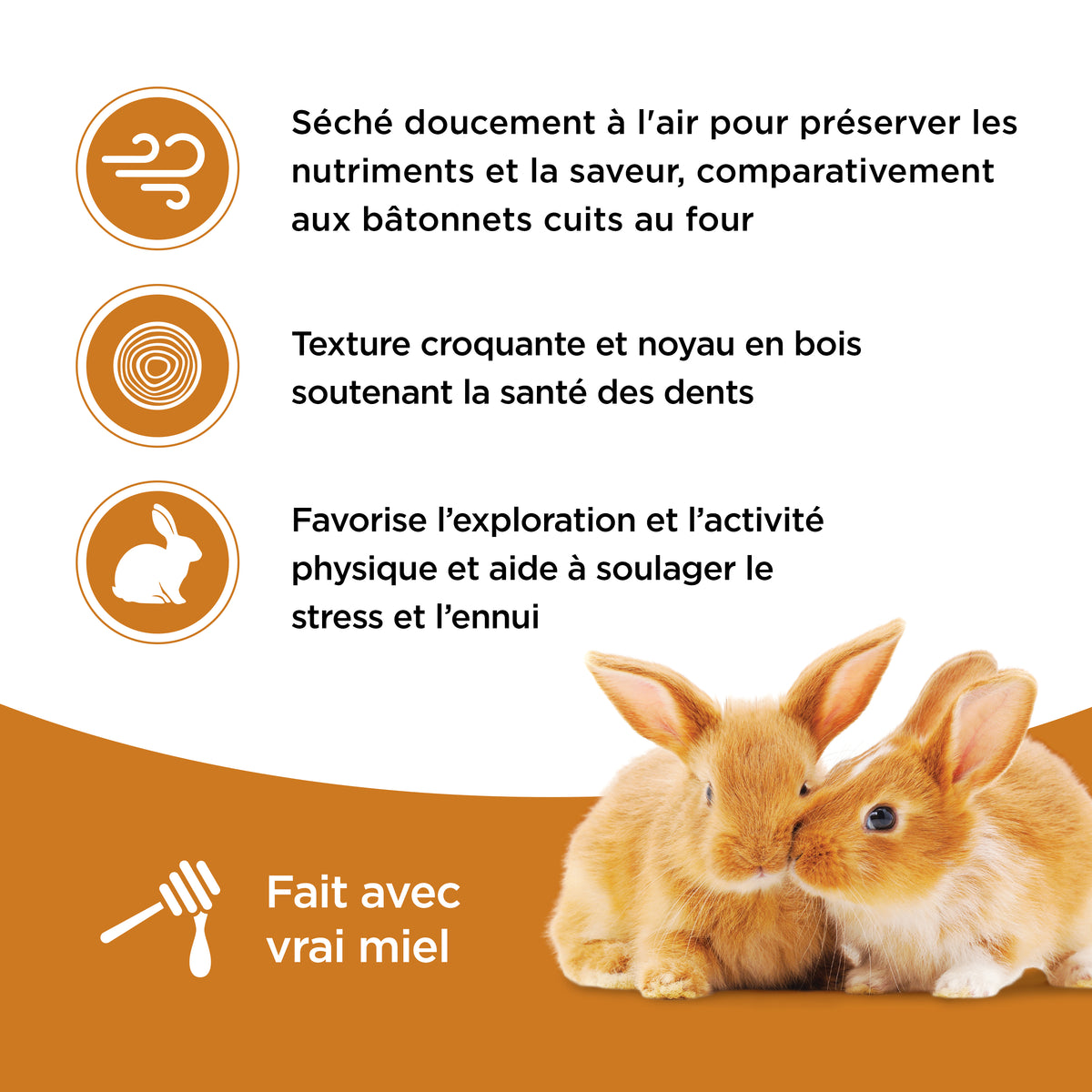 Bâtonnets Living World pour lapins, saveur de miel, paquet de 2, 90 g (3,17 oz) - La niche&amp;moi