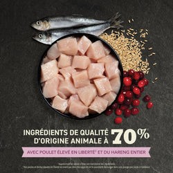 Acana Premier festin 1.8 KG - La niche&amp;moi