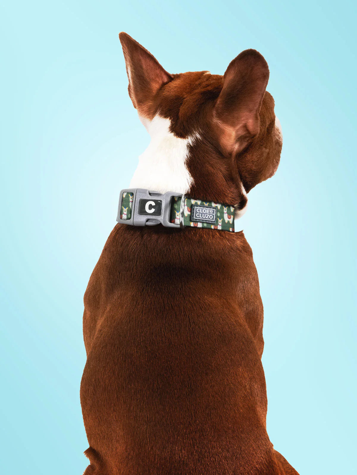 Collier Ajustable Cloe &amp; Cluzo LAMA XS - La niche&amp;moi