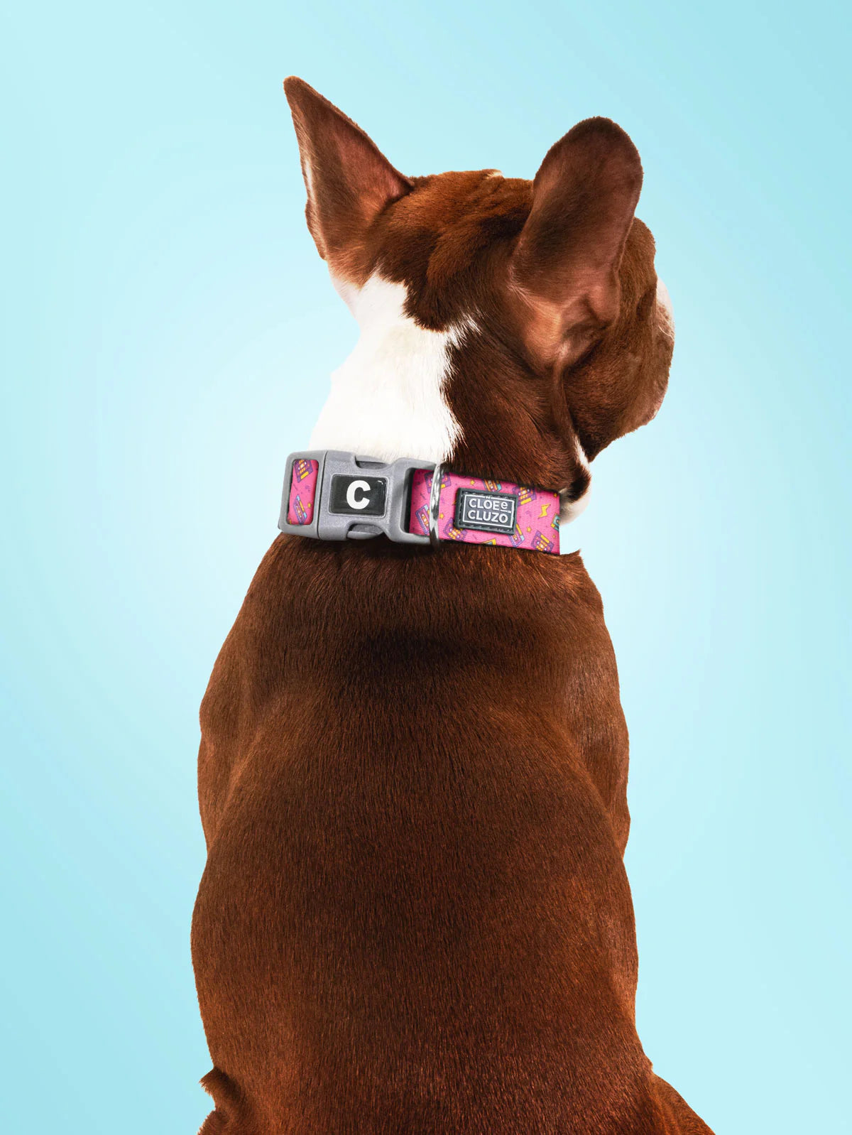 Collier Ajustable Cloe &amp; Cluzo CASSETTE MD - La niche&amp;moi