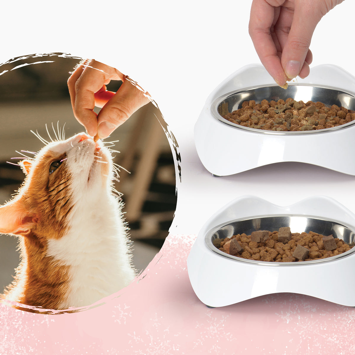 Gâteries Catit Cru séché à froid, Foies de bœuf, de porc et d’agneau, 28,4 g