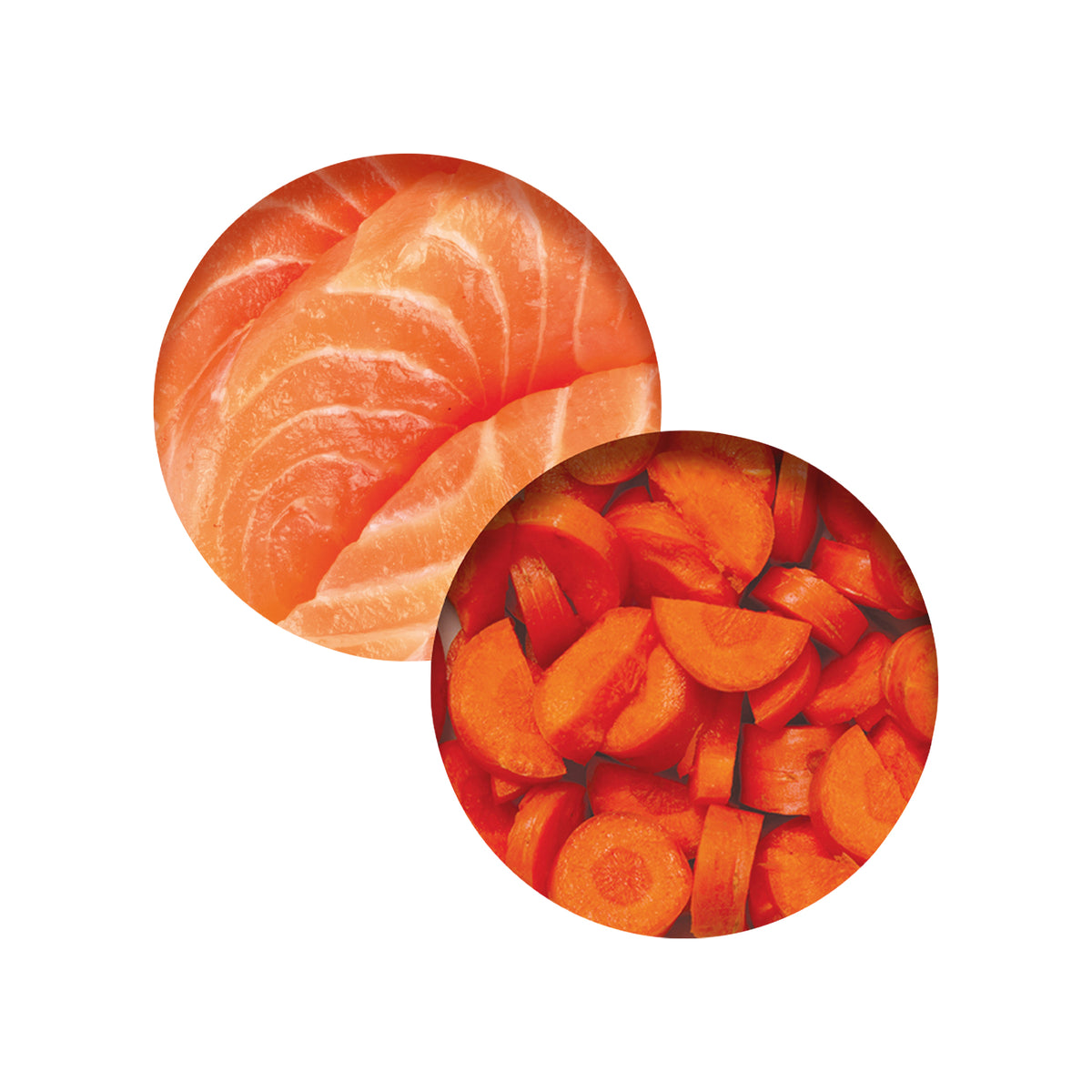 Repas de poulet Catit avec saumon et carottes, 80 g (2,8 oz) - La niche&amp;moi