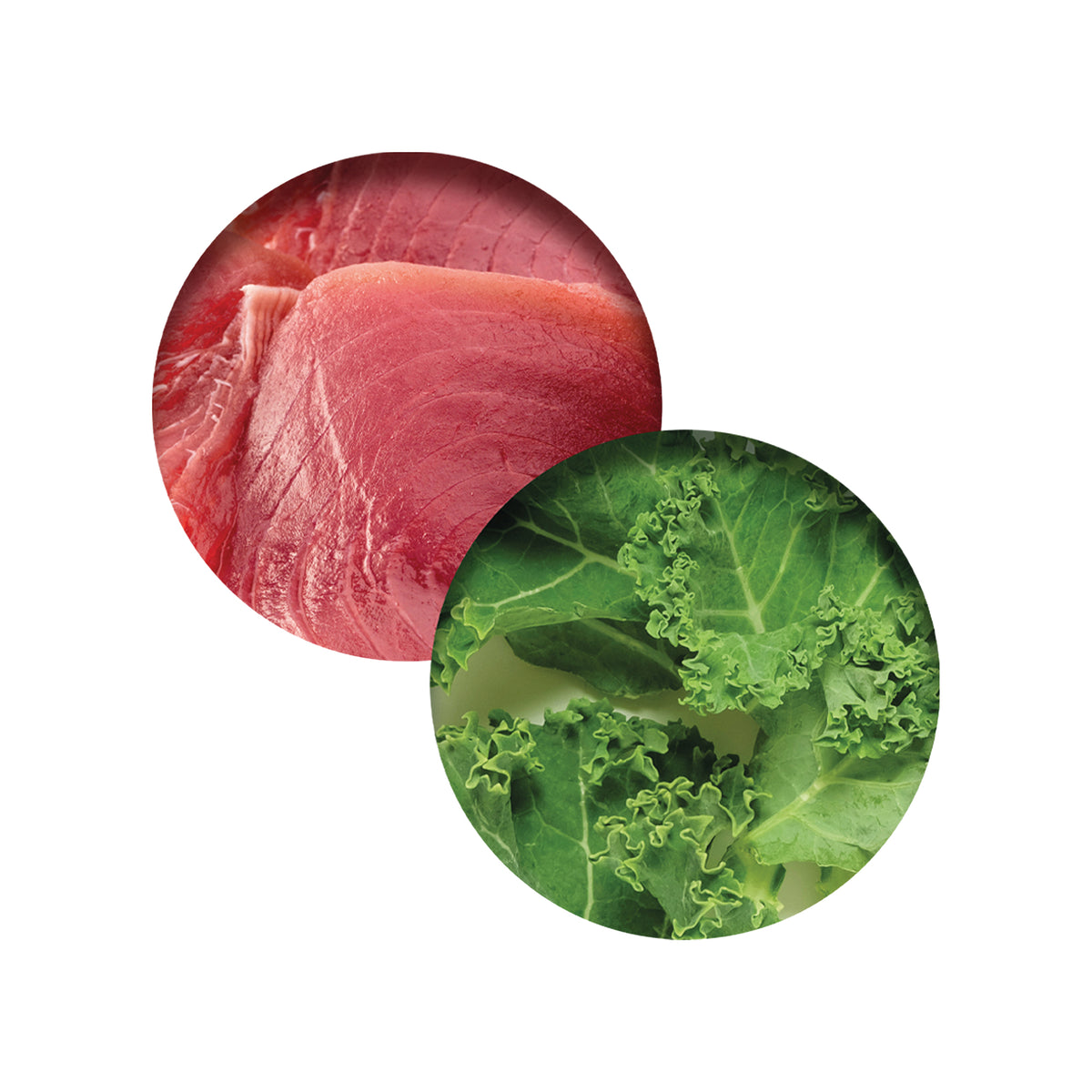 Repas de poulet Catit avec thon et chou vert, 80 g (2,8 oz) - La niche&amp;moi