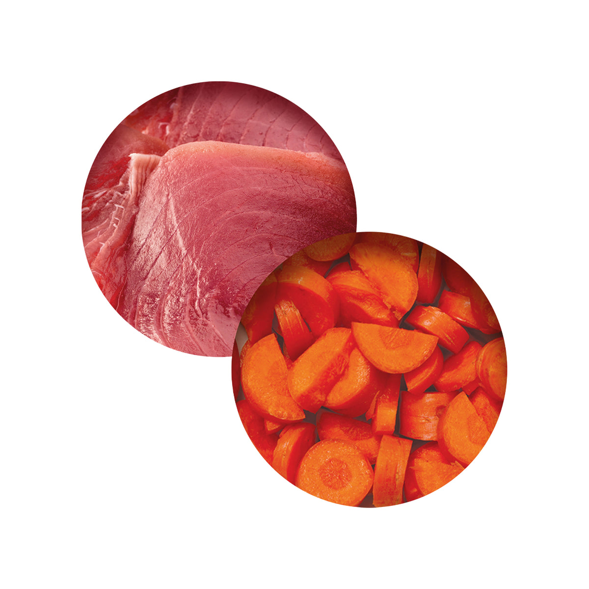 Repas de poisson Catit avec thon et carottes, 80 g (2,8 oz) - La niche&amp;moi