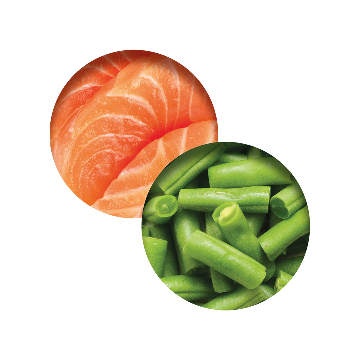 Repas de poisson Catit avec saumon et haricots verts, 80 g (2,8 oz) - La niche&amp;moi