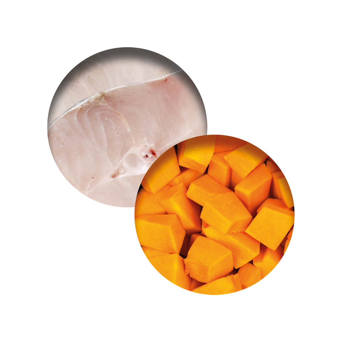 Repas de poisson Catit avec poisson blanc et citrouille, 80 g (2,8 oz) - La niche&amp;moi