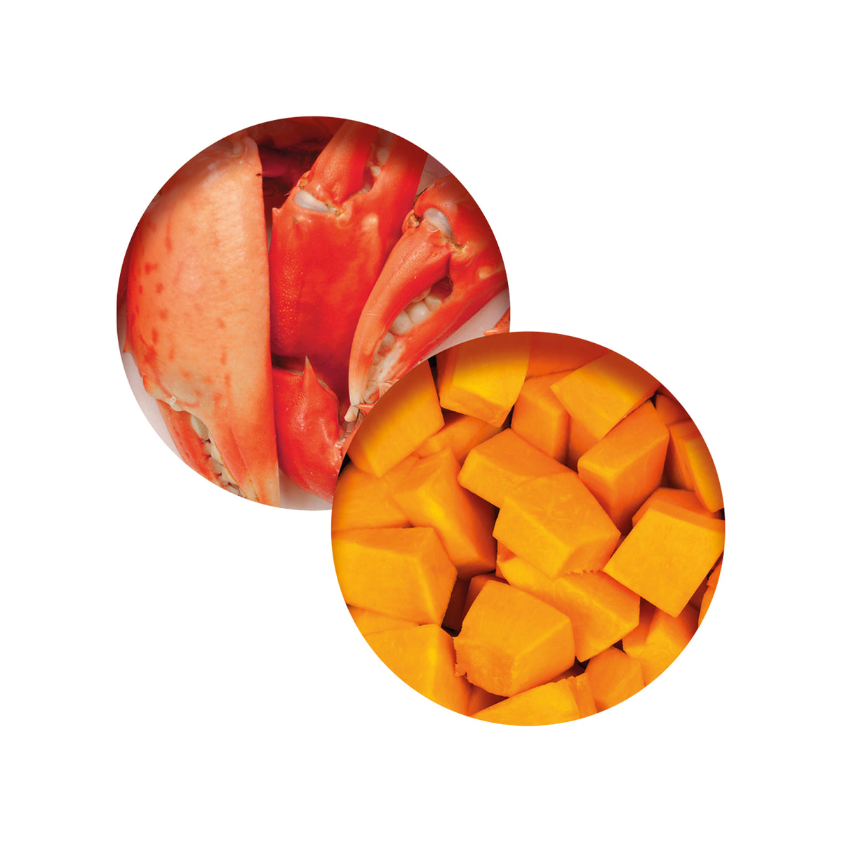 Repas de poisson Catit avec arôme de crabe et citrouille, 80 g (2,8 oz) - La niche&amp;moi