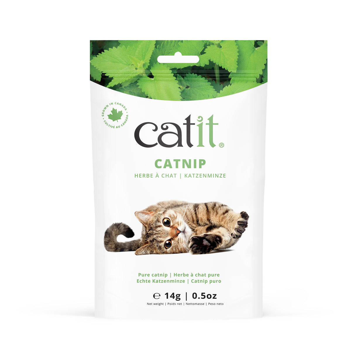 Herbe à chat Catit, sac de 14 g (½ oz) - La niche&amp;moi