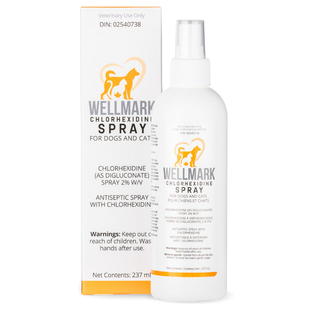 Wellmark Chlorhexidine Spray