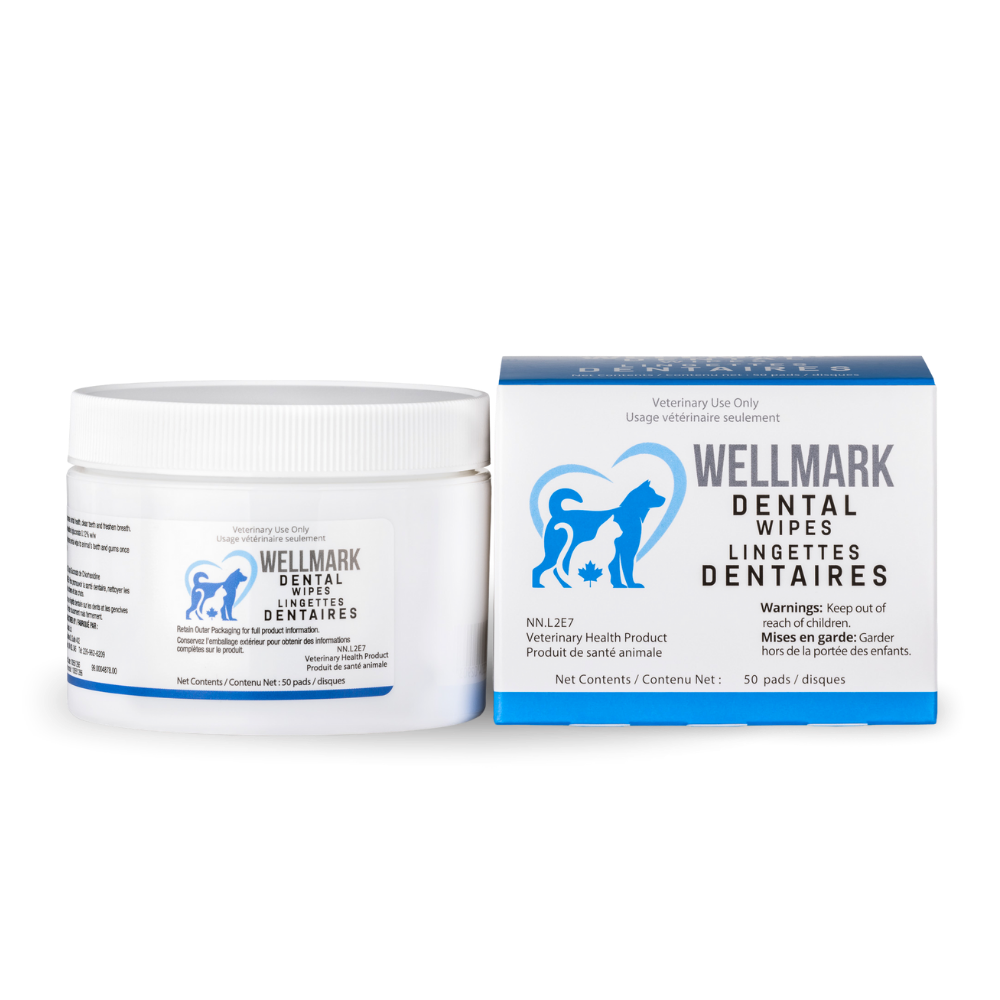 Wellmark Dental Wipes (50 pads)
