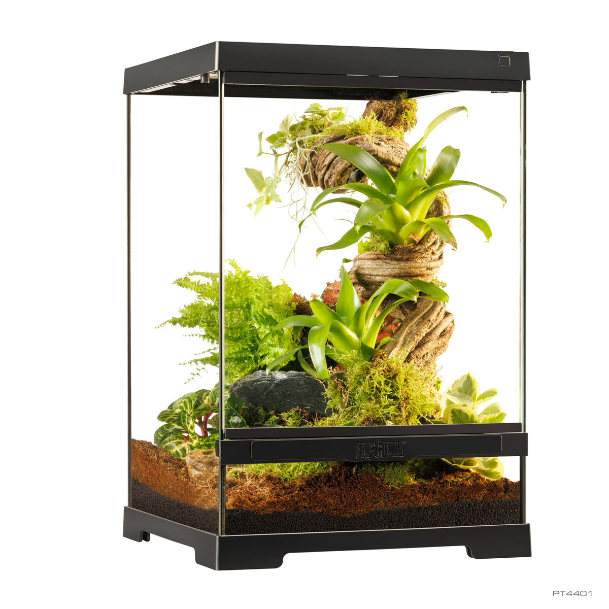 Terrarium professionnel Exo Terra, habitat avancé naturel, très petit/haut, 30 x 30 x 45 cm - La niche&amp;moi