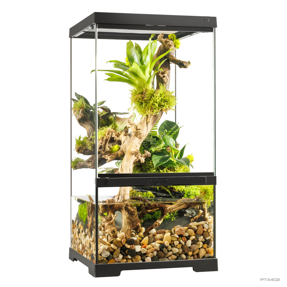 Paludarium professionnel Exo Terra, habitat avancé naturel, très petit/très haut, 30 x 30 x 60 cm - La niche&amp;moi