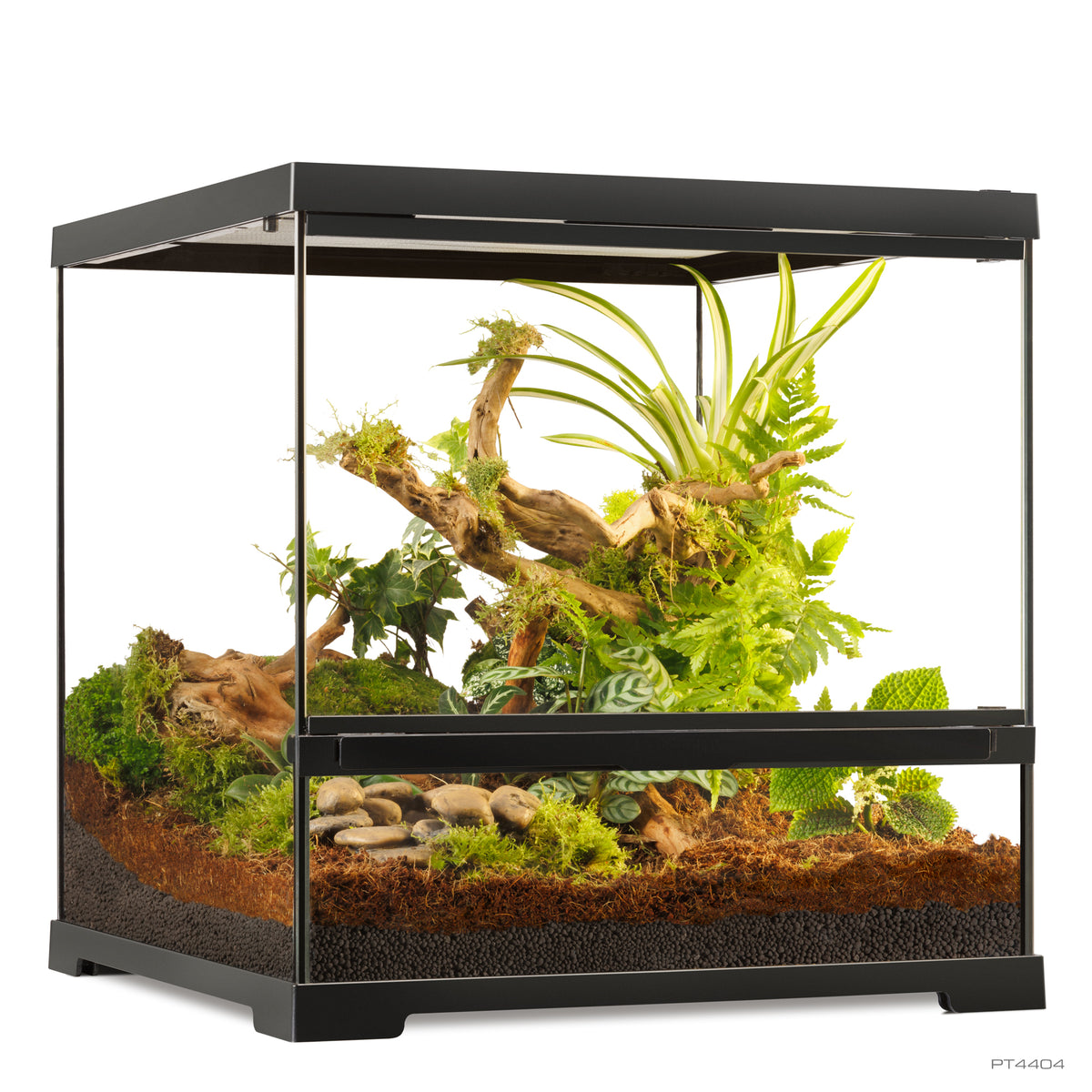 Terrarium professionnel Exo Terra, habitat avancé naturel, petit/large, 45 x 45 x 45 cm - La niche&amp;moi