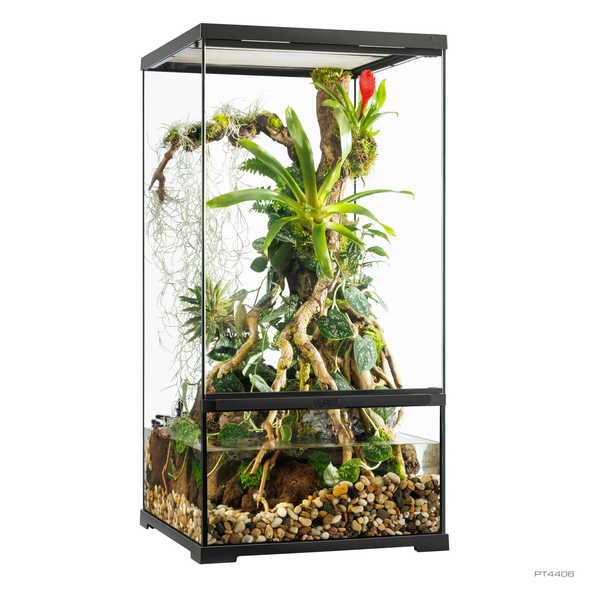 Paludarium professionnel Exo Terra, habitat avancé naturel, petit/très haut, 45 x 45 x 90 cm - La niche&amp;moi