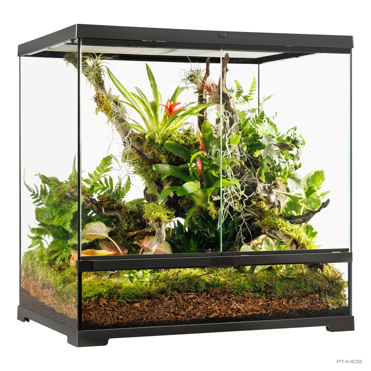 Terrarium professionnel Exo Terra, habitat avancé naturel, moyen/haut, 60 x 45 x 60 cm - La niche&amp;moi