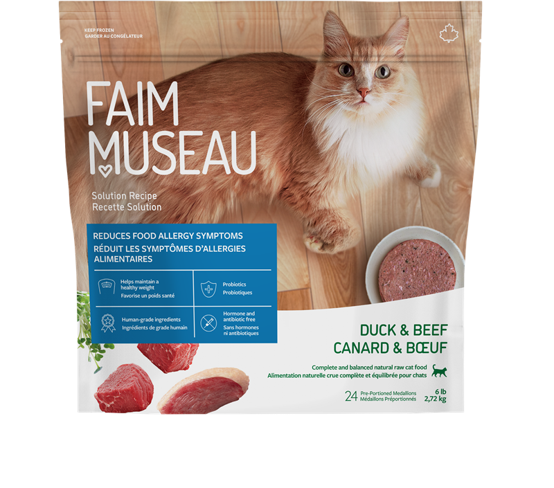 Nourriture crue pour chat