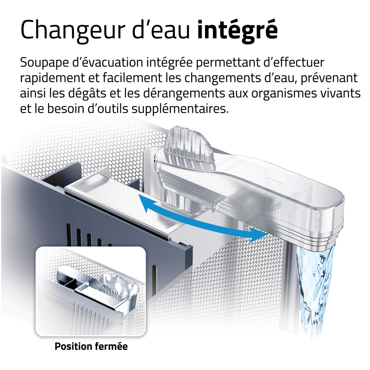 Aquarium équipé haut de gamme pour bettas, 22,7 L (6 gal US) - La niche&amp;moi