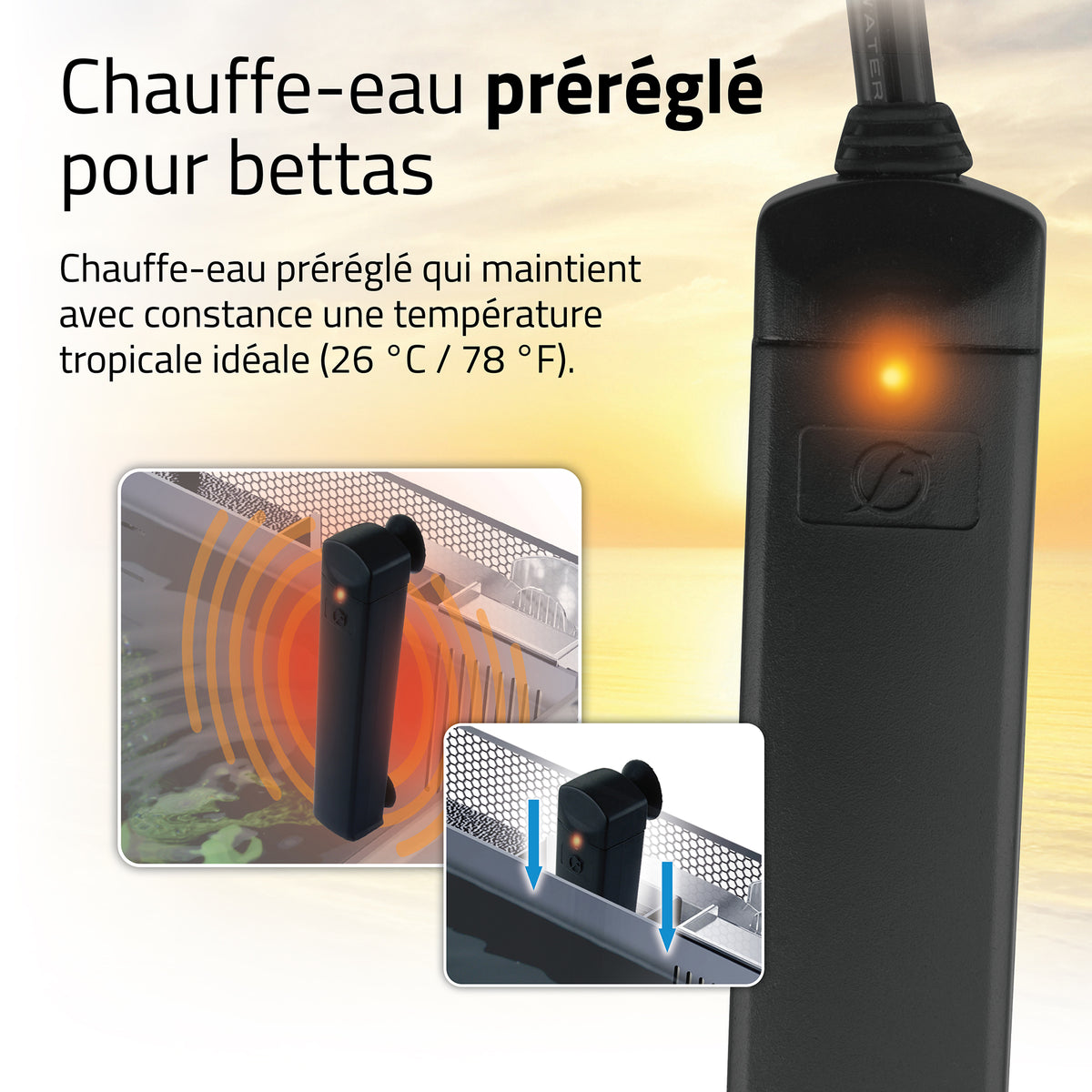 Aquarium équipé haut de gamme pour bettas, 22,7 L (6 gal US) - La niche&amp;moi