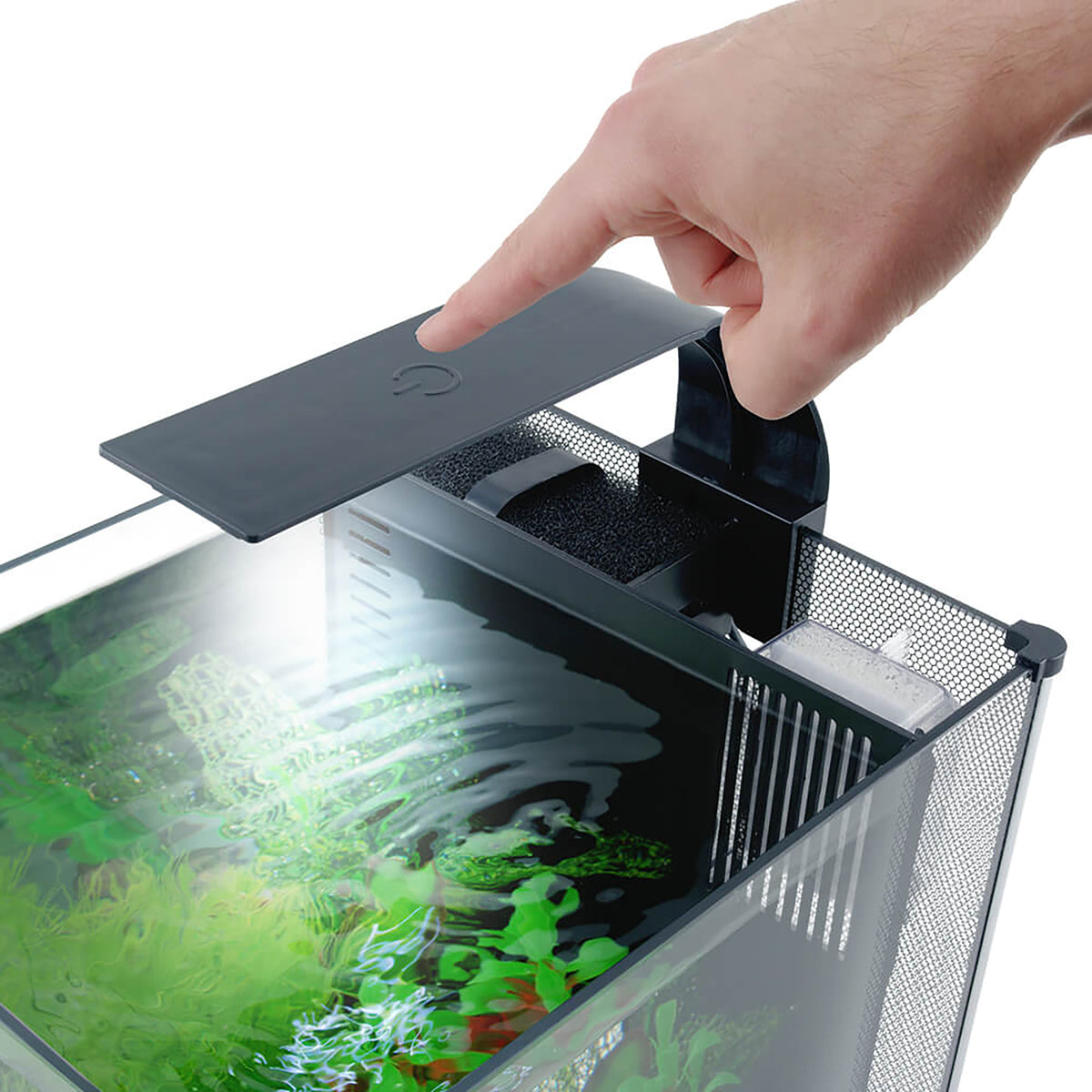 Aquarium équipé haut de gamme pour bettas, 22,7 L (6 gal US) - La niche&amp;moi