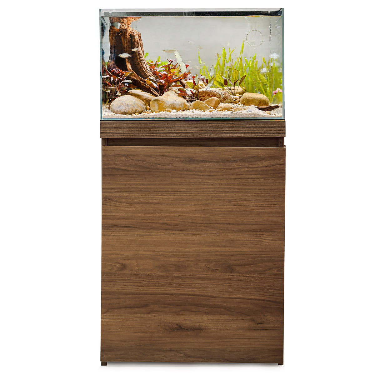 Aquarium équipé Visi-White 60 Fluval, 78 L (20,6 gal US) - La niche&amp;moi