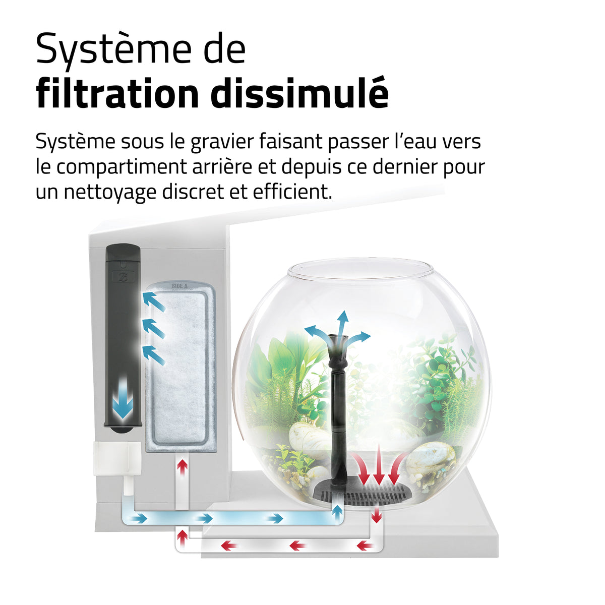 Aquarium équipé LIV Fluval pour l’aménagement miniature, blanc, 33 x 31,75 cm (13 x 12,5 po) - La niche&amp;moi