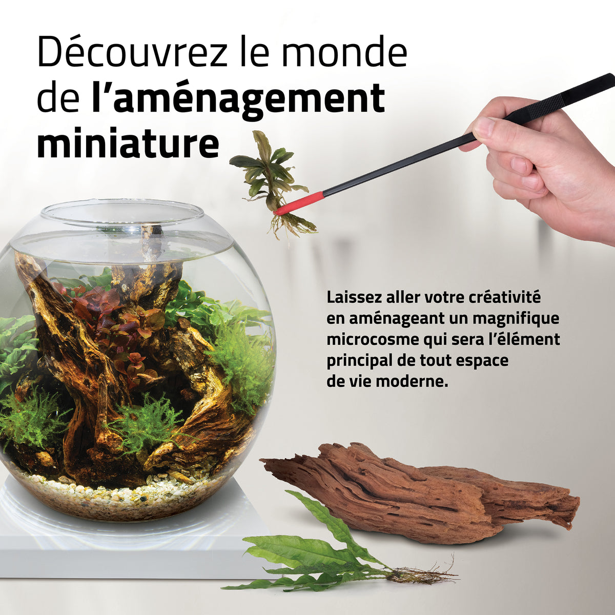 Aquarium équipé LIV Fluval pour l’aménagement miniature, blanc, 33 x 31,75 cm (13 x 12,5 po) - La niche&amp;moi