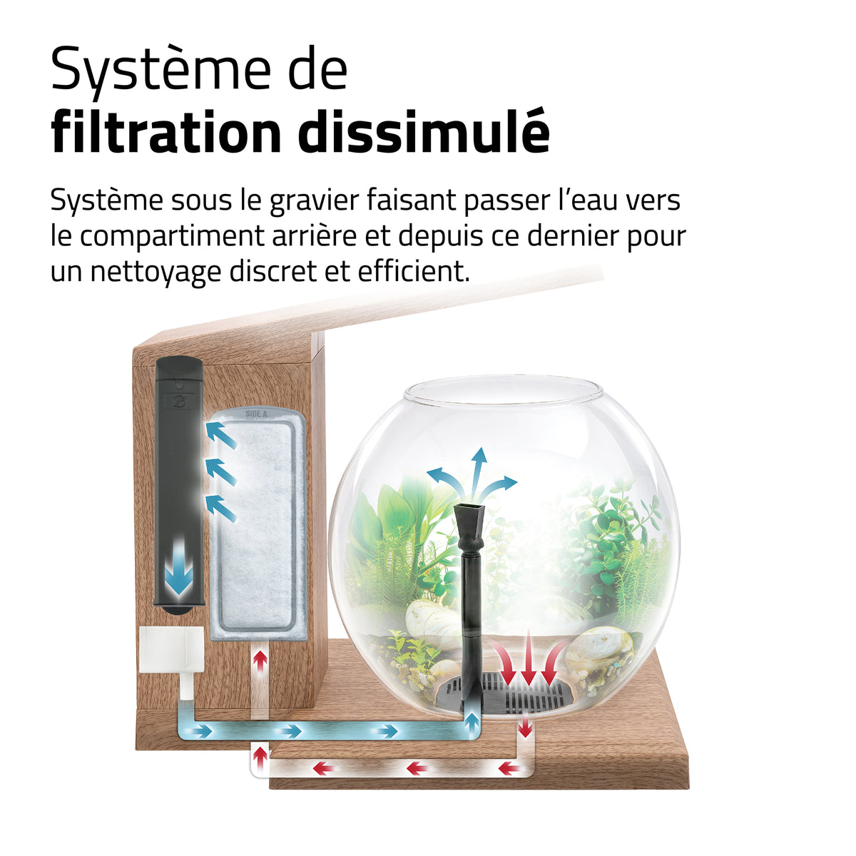 Aquarium équipé LIV Fluval pour l’aménagement miniature, tek, 33 x 31,75 cm (13 x 12,5 po) - La niche&amp;moi