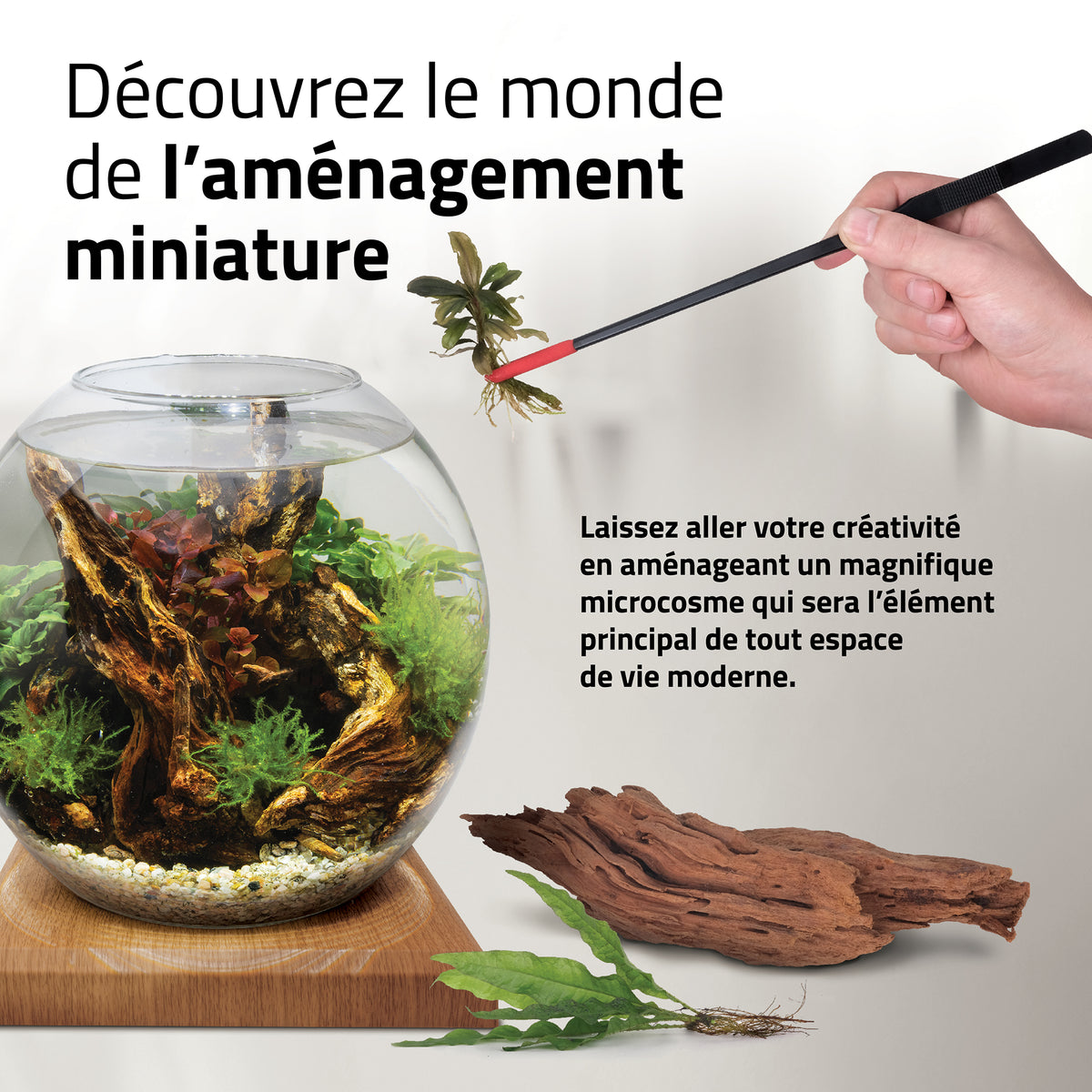 Aquarium équipé LIV Fluval pour l’aménagement miniature, tek, 33 x 31,75 cm (13 x 12,5 po) - La niche&amp;moi