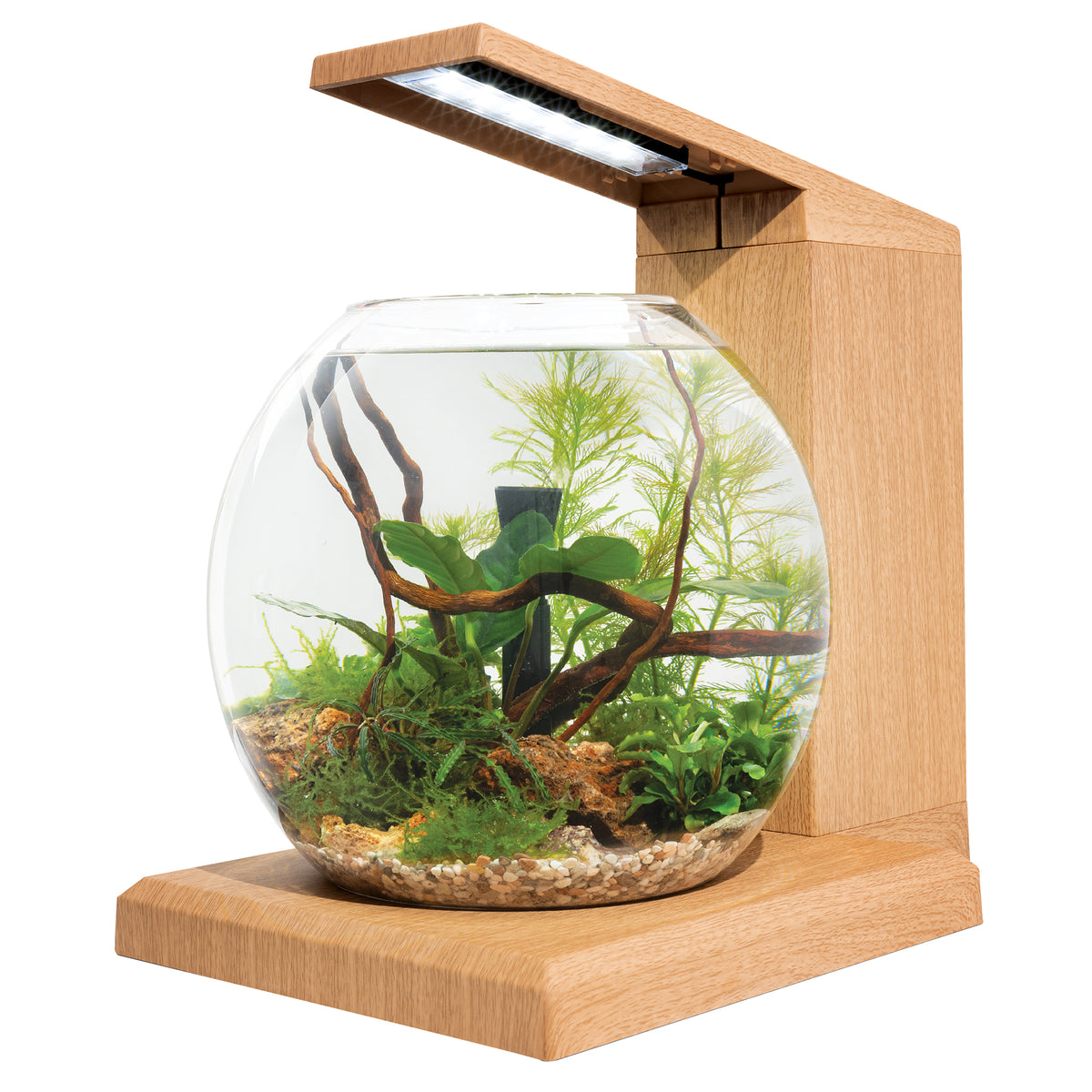 Aquarium équipé LIV Fluval pour l’aménagement miniature, tek, 33 x 31,75 cm (13 x 12,5 po) - La niche&amp;moi