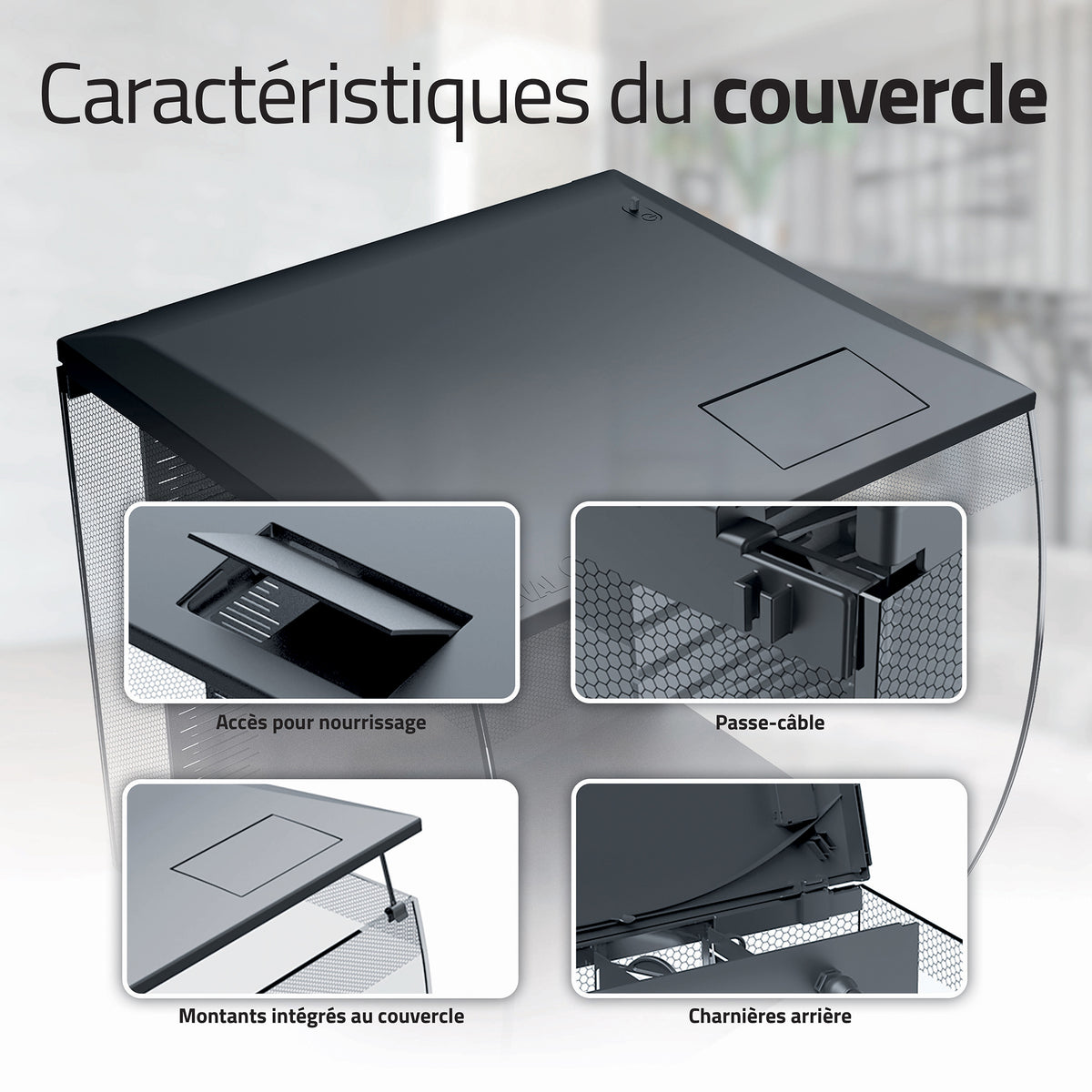 Aquarium équipé Flex 2.0 Fluval, 57 L (15 gal US) - La niche&amp;moi