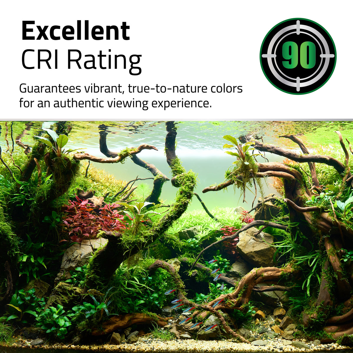 DEL Plante 4.0 Fluval, 22 W, 38-63 cm (15-24 po) - La niche&amp;moi