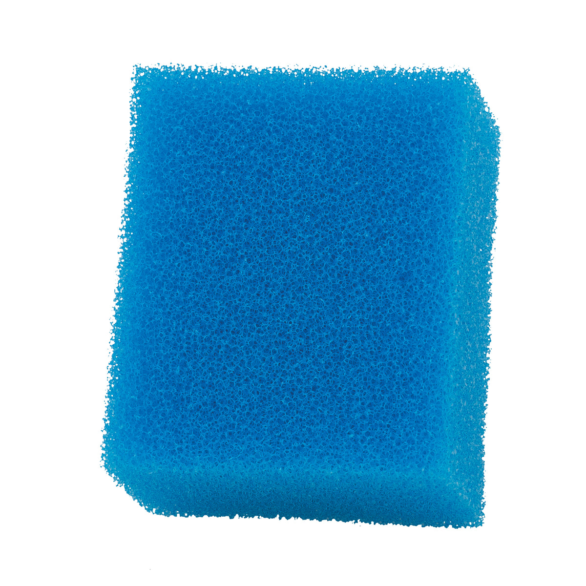 Bloc de mousse Bio-Foam pour filtre à moteur AquaClear 20 Fluval, paquet de 1 - La niche&amp;moi