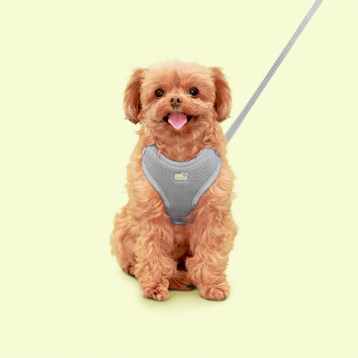 Harnais en maille Petite Pistache pour très petits chiens Gris 3XS - La niche&amp;moi