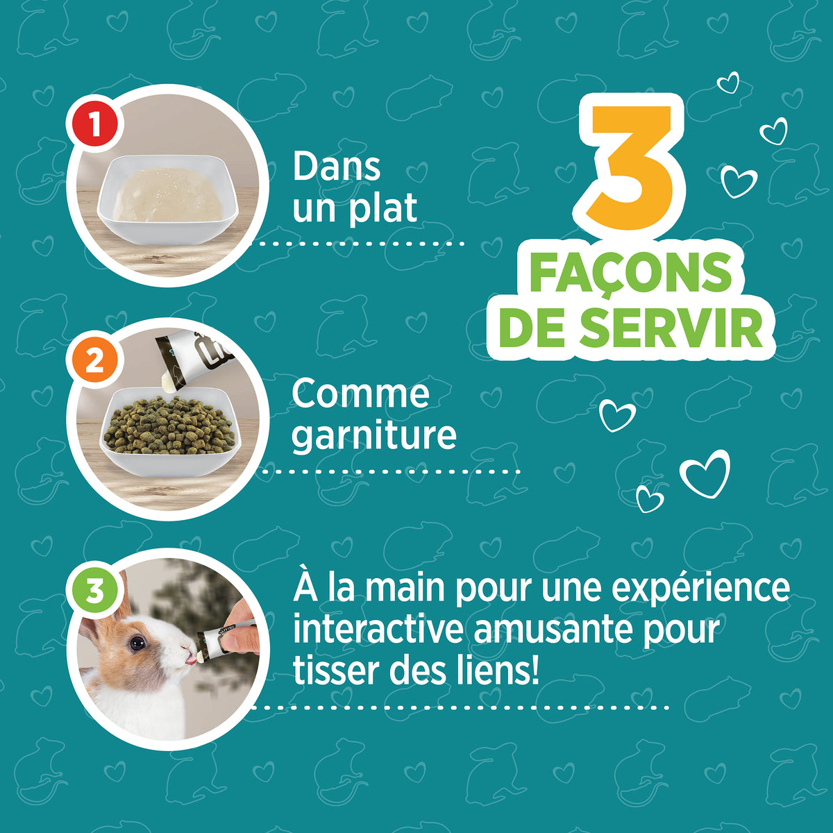 Gâteries Lickables Living World pour petits animaux, saveur de papaye, 5 tubes (10 g) - La niche&amp;moi