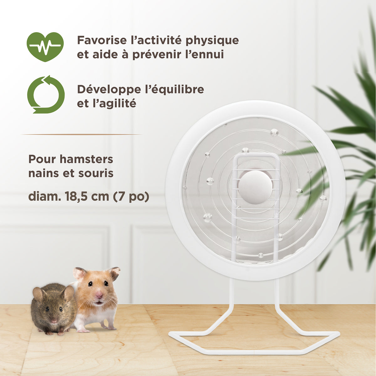 Roue d’exercice SPRINT 1 Living World, blanche avec support en métal, petite, 18,5 cm (7 po) - La niche&amp;moi