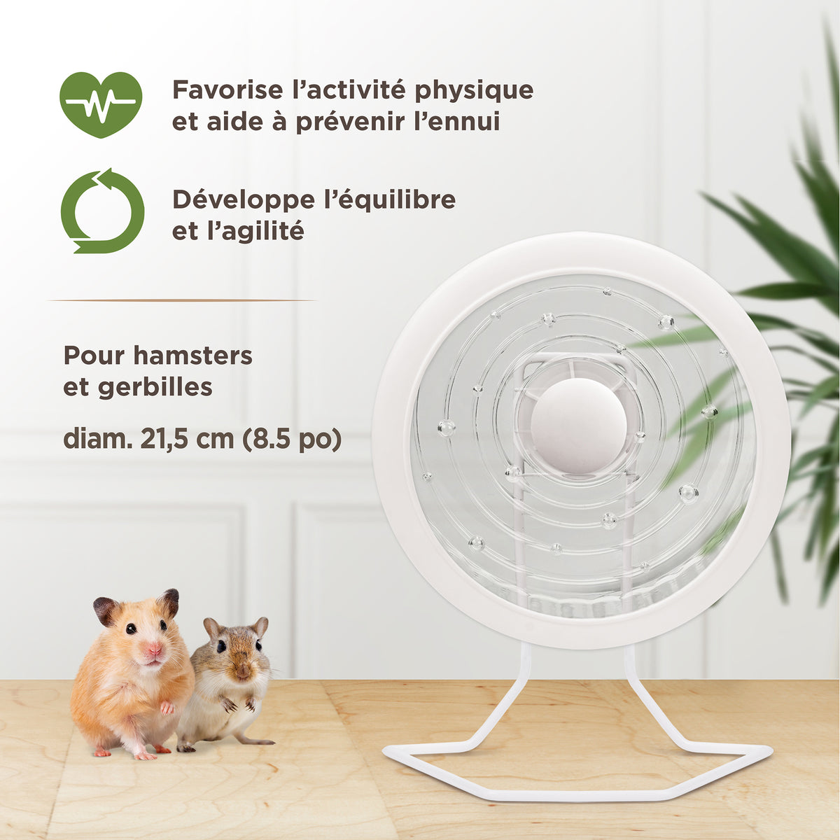 Roue d’exercice SPRINT 2 Living World, blanche avec support en métal, moyenne, 21,5 cm - La niche&amp;moi